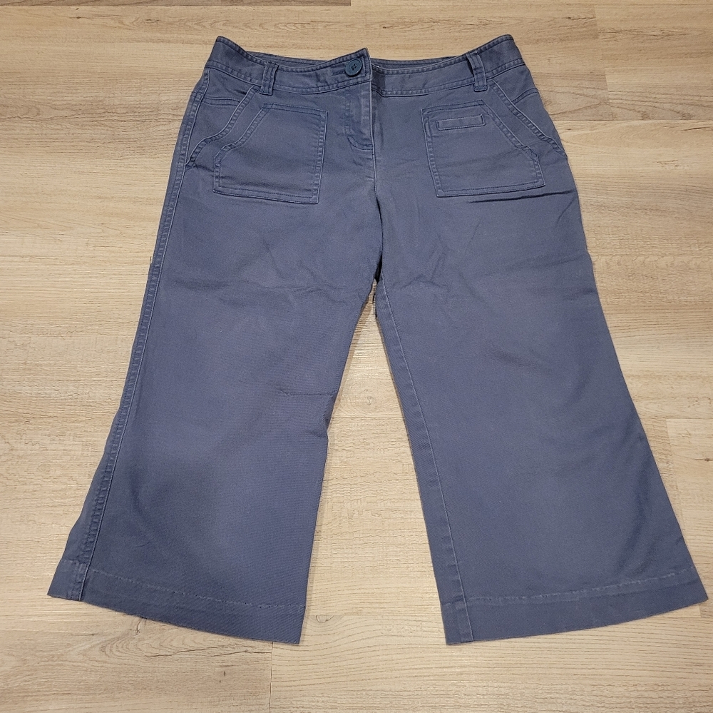 Ann Taylor Loft capri 6